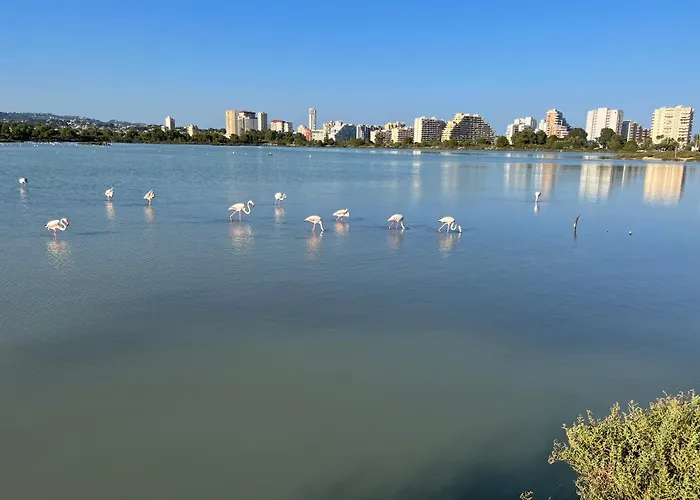 Rock&bike Sunny Apartment *