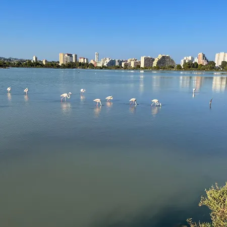 Rock&bike Sunny Apartman *